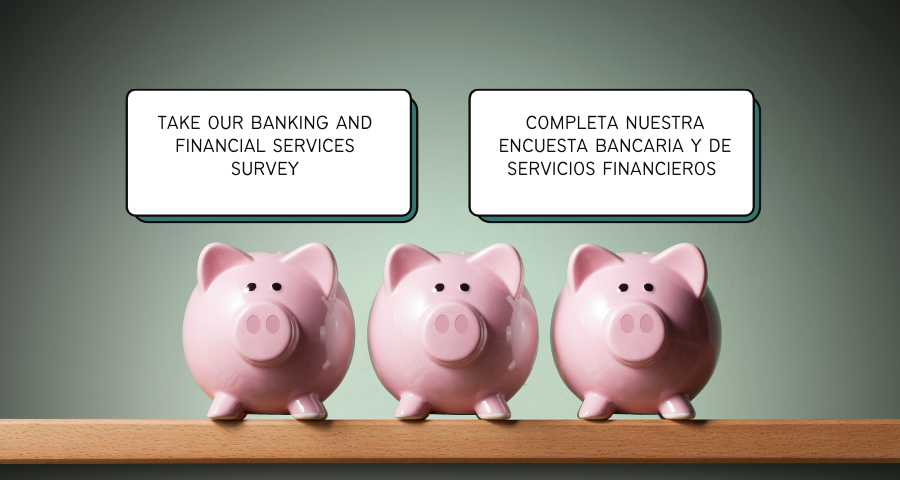 Bank and Financial Services Survey
